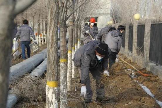 阜康能源“学雷锋”厂区环境卫生整治现场（宋茹 摄）